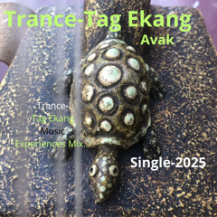 Avak-sans lead vocal