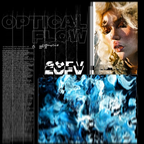 OPTICAL FLOW VIP