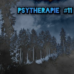 Psytherapie #11: Tannenhochforst
