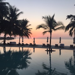 Freaky Bangers EDVII Poolside