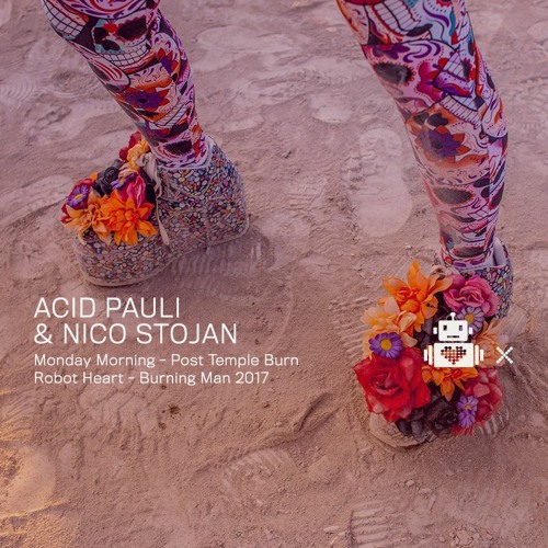 Acid Pauli & Nico Stojan - Robot Heart 10 Year Anniversary - Burning Man 2017