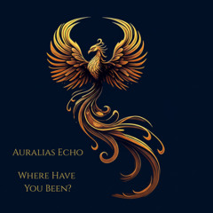 Where Have You Been?