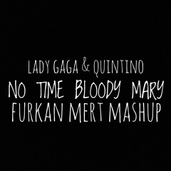 Lady Gaga & Quintino - No Time Bloody Mary (Furkan Mert Mashup)