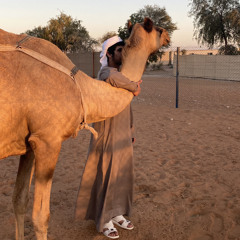 يا مضمرين الهجن لاباس x حمدان المنصوري