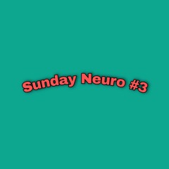 SUNDAY NEURO #3