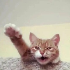 Страшный дом Speed Up