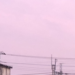 【HARD RENAISSANCE】Rozen / Ma-Ple