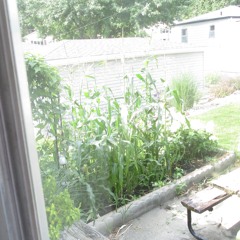 Sold On The Idea / Be No SellN(eat my own)