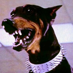 222pmb doberman gang