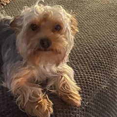 please  (prod.ophxnim)