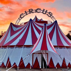 Circus (Prod. bmoneygotnomoney)