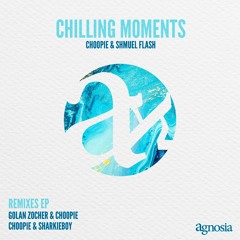 Choopie & Shmuel Flash - Chilling Moments Choopie & Sharkieboy Remix