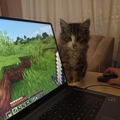 minecraftcore3