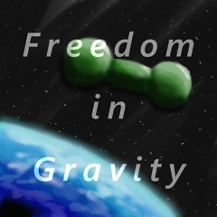 Freedom in Gravity