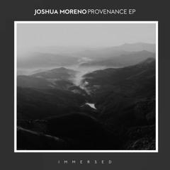 PREMIERE: Joshua Moreno - Point Of Renewal (feat. Gambitt) [Immersed]