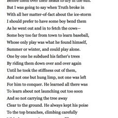 490 Birches by Robert Frost