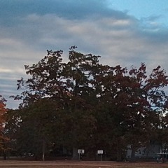 Town Farm and the Almshouse in Chicopee Massachusetts a podcast