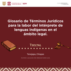 01 - Aborto Tseltal Glosario De Terminos Juridicos