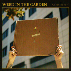 Weed In The Garden (Instrumental)