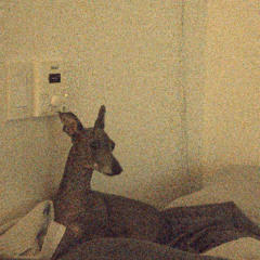 보편적인 마음