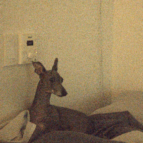 보편적인 마음