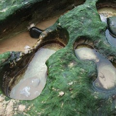 belenoche . a marina songstress