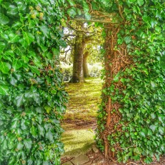 Himno 419. Hermanos de Málaga