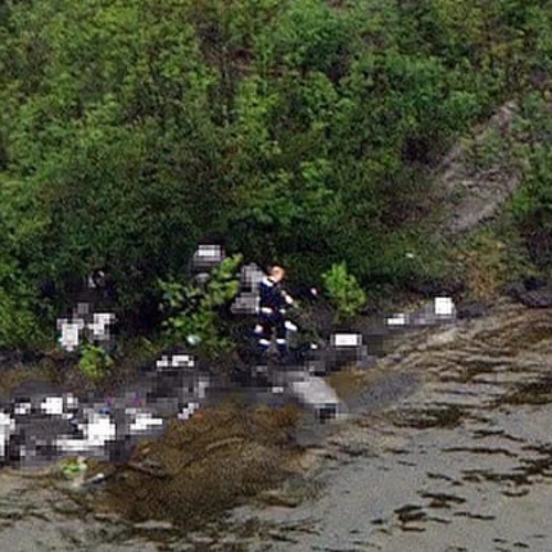 LoserGirlfriend - 70 Traitors