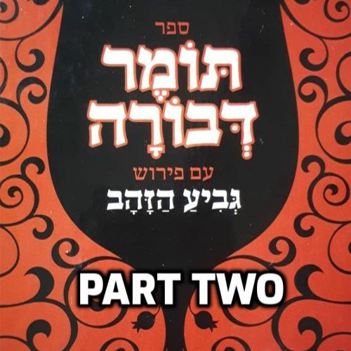 TOMER DEVORAH: The Intro: In the Image of Gd