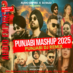 Punjabi Party Mix 2025 | DJ RAJU | Audio Empire | Punjabi Mashup 2025 New Release | Non Stop  2025