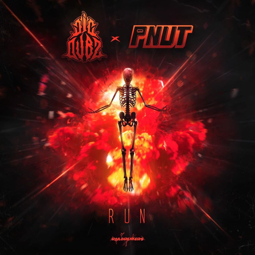 DJC DUBZ & PNUT - Run