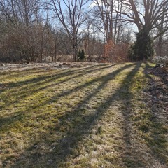 Vi håller det inom familjen