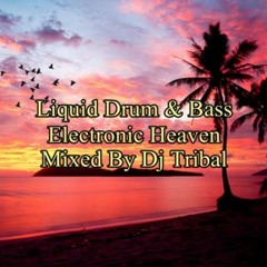 Liquid Drum & Bass Mix Electronic Heaven