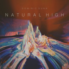 Natural High (Original Mix)