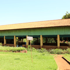 17.11.2025 - Cap. XXIV - Não Coloqueis a Candeia Sob o Alqueire - Coragem da Fé