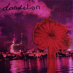 dandelion
