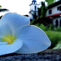 Itariki Wen Dahme Mie