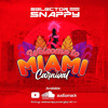 Welcome To Miami Carnival 2025 Mix by Selector Snappy DJ mix artwork - Electronic music tracklist cover image