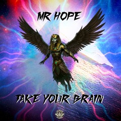 Mr Hope - Take Your Brain