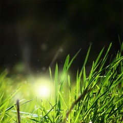 catapult (tegan laurier)