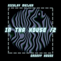 IN THA HOUSE | #2 GROOVY HOUSE