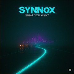 Synnox - What You Want