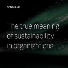 SEB talks IT | The true meaning of sustainability in organizations