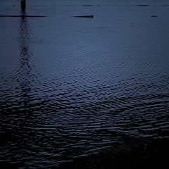 pelagic