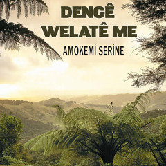 Amokemi Serine