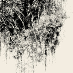 Ashes