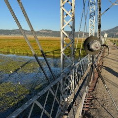 Sierra Valley Marsh w/hydrophone, June 22, 2024