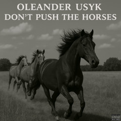 Don't Push The Horses (Oleksandr Usyk)