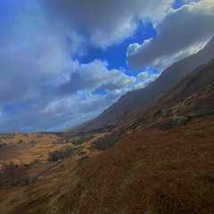 sick geese 3rd export