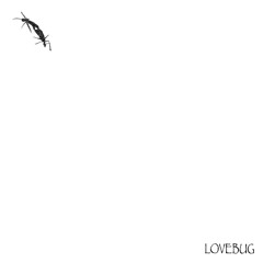 퍼플웨일 - LOVEBUG (가제) Demo